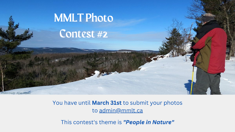 MMLT Photo Contest #2